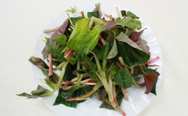 吃魚腥草的好處是什么？吃魚腥草的作用與功效？(1)