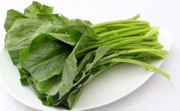 春季養(yǎng)生怎么吃好？春季養(yǎng)生適合吃什么？(1)