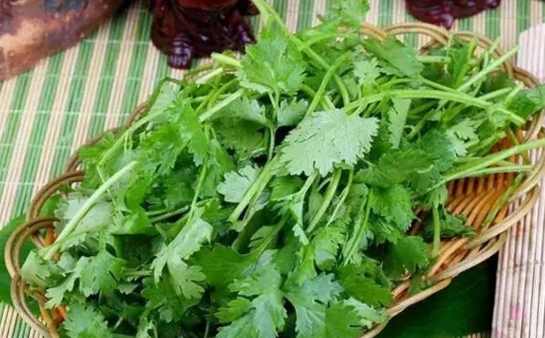 香菜搭配什么好吃？香菜和什么炒好吃？(1)