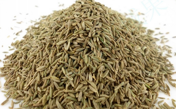 小茴香和孜然的區(qū)別有哪些？小茴香是孜然嗎？(1)
