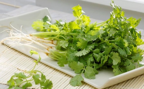 香菜功效與作用有哪些？香菜的食用禁忌(1)