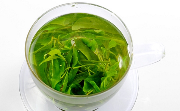 月經(jīng)可以喝苦丁茶嗎？苦丁茶的功效作用有哪些？(1)