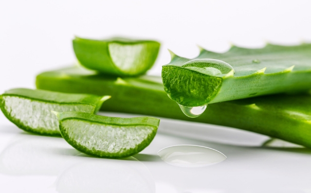 蘆薈應該怎么吃？蘆薈的吃法有哪些？(1)