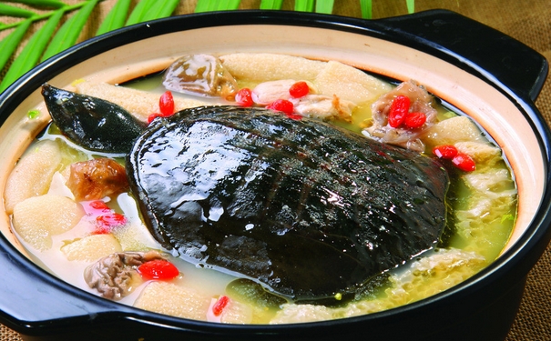甲魚不能跟什么一起吃？甲魚的飲食禁忌(1)