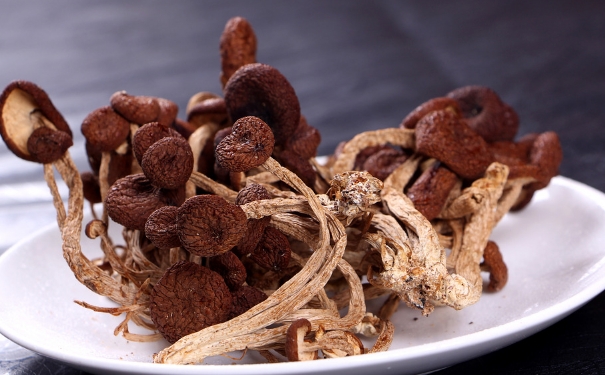 產(chǎn)婦可以吃茶樹菇嗎？產(chǎn)婦吃茶樹菇有什么好處？(1)