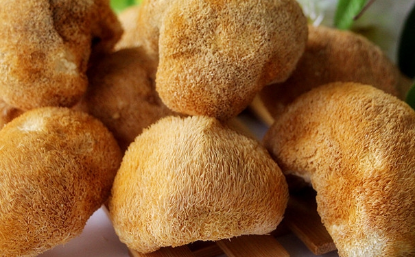 吃猴頭菇養(yǎng)胃嗎？猴頭菇可以養(yǎng)胃嗎？(1)