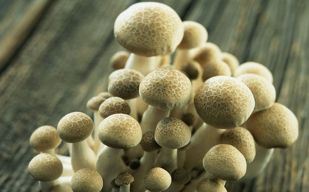 降血壓的食物和水果有哪些？老人降壓怎么吃？(1)