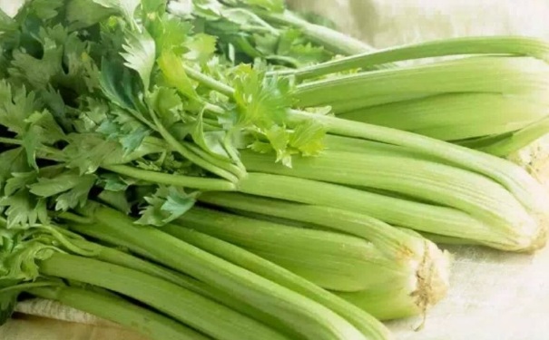 芹菜的葉子可以吃嗎？吃芹菜為什么不會吃葉子？(1)