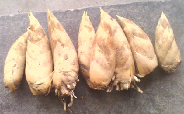 吃冬筍的好處與壞處？冬筍有什么好處？(1)