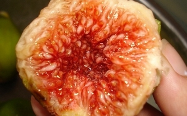 無花果的皮可以吃嗎？無花果對(duì)身體有什么功效？(1)
