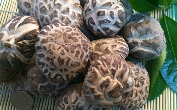 做完手術(shù)后不能吃哪些東西？做完手術(shù)后吃哪些水果好？(1)