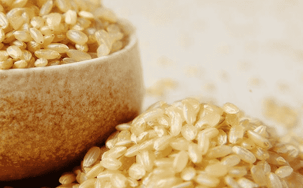 人體需要排毒的原因是什么？南瓜糙米飯可以排毒嗎？(1)