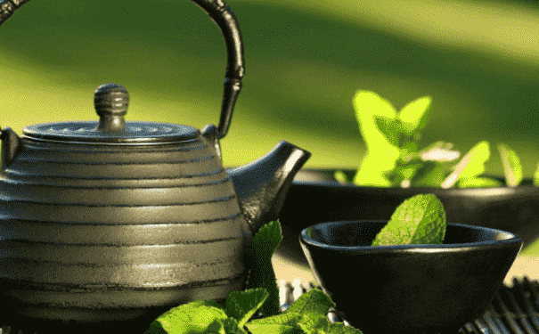 豐胸減肥喝什么茶？哪些茶喝了既能豐胸又能減肥？(1)