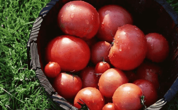 男人要多吃哪些強(qiáng)身健體的食物？(1)
