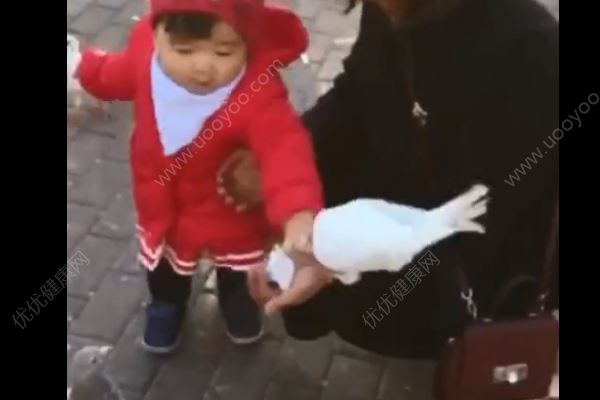 一歲女孩從鴿子嘴里搶食，直接搶鴿食往自己嘴里塞(1)