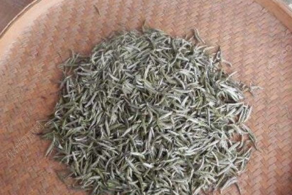 男生喝白茶有什么好處？男生喝白茶的功效有哪些？(1)