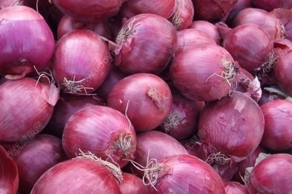 經(jīng)常食用蔥到底有多好？洋蔥的養(yǎng)生功效有哪些？(1)