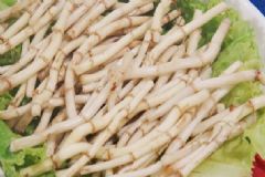 魚腥草的吃法有哪些呢？魚腥草怎么做菜好吃呢？[圖]