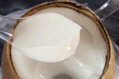 椰子果凍怎么做？椰子果凍的做法[多圖]