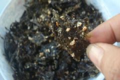 烤紫菜怎么做？烤紫菜的做法[多圖]