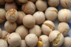 黃豆怎么做好吃？黃豆和什么炒好吃？[多圖]
