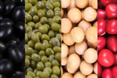 黃豆和綠豆可以一起打豆?jié){嗎？黃豆和綠豆可以一起吃嗎？[多圖]