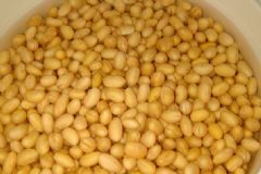 黃豆與什么食物相克？黃豆與什么搭配最好？[多圖]