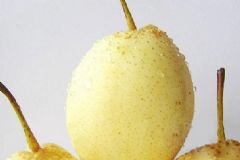 水蜜桃和梨榨汁可以嗎？水蜜桃和梨子榨汁好喝嗎？[多圖]