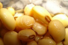 黃豆怎么發(fā)豆芽？黃豆在水里怎么發(fā)芽？[多圖]