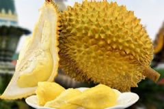 牛油果和榴蓮能一起吃嗎？牛油果和榴蓮怎么吃最好？[多圖]