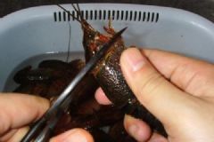 洗龍蝦怎么洗法？龍蝦怎么清洗最干凈？[多圖]