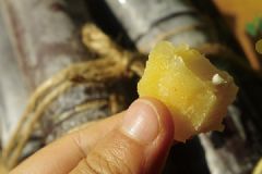 烤甘蔗好吃嗎？烤甘蔗的做法介紹[多圖]