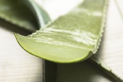 蘆薈有哪些功效？蘆薈怎么用會導(dǎo)致皮膚過敏？[圖]
