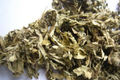 艾葉的藥用價值是什么？艾葉具有哪些養(yǎng)生功效？[圖]
