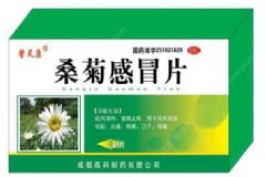 夏天感冒是因為風(fēng)熱還是風(fēng)寒？暑濕感冒和暑熱感冒怎么治療？[圖]