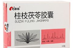 桂枝茯苓膠囊的功效與作用有哪些？[圖]