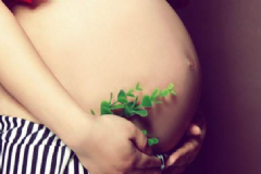 孕婦能用驅(qū)蚊貼嗎？驅(qū)蚊貼真的沒(méi)有毒性嗎？[圖]