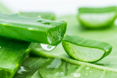 激光點痣后可以涂蘆薈膠嗎？激光點痣后可以用蘆薈膠嗎？[圖]