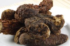 肉蓯蓉泡茶喝有什么功效？哪些人不能吃肉蓯蓉？[圖]