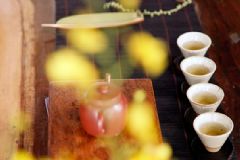 枸杞根有哪些功效？枸杞根有什么藥用功效？[圖]