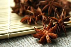 大茴香有什么功效？大茴香的功效與作用[圖]