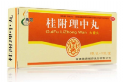 桂附理中丸去濕嗎？桂附理中丸的功效與作用[圖]