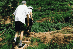 日常爬山的好處有哪些？為什么要常常爬山？[圖]