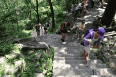 哪些人不能去登山？登山的禁忌人群有哪些？[圖]