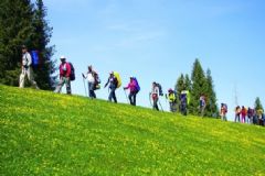 旅游疲勞時吃些什么好？旅游疲勞時適合吃什么？[圖]