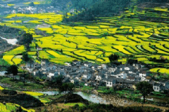 旅游公共服務規(guī)劃出爐 清明小長假去哪里踏青？[多圖]