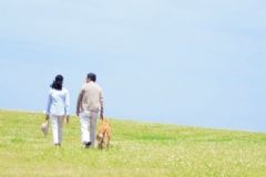 老人散步好嗎？老人散步有哪些好處呢？[圖]