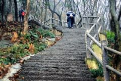 爬山瘦哪里？爬山能減肚子嗎？[圖]