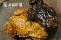 夫妻兩人抓蟾蜍食用，妻子因吃蟾蜍卵中毒身亡[多圖]