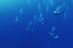 什么人不適合潛水？哪些人不能潛水？[多圖]